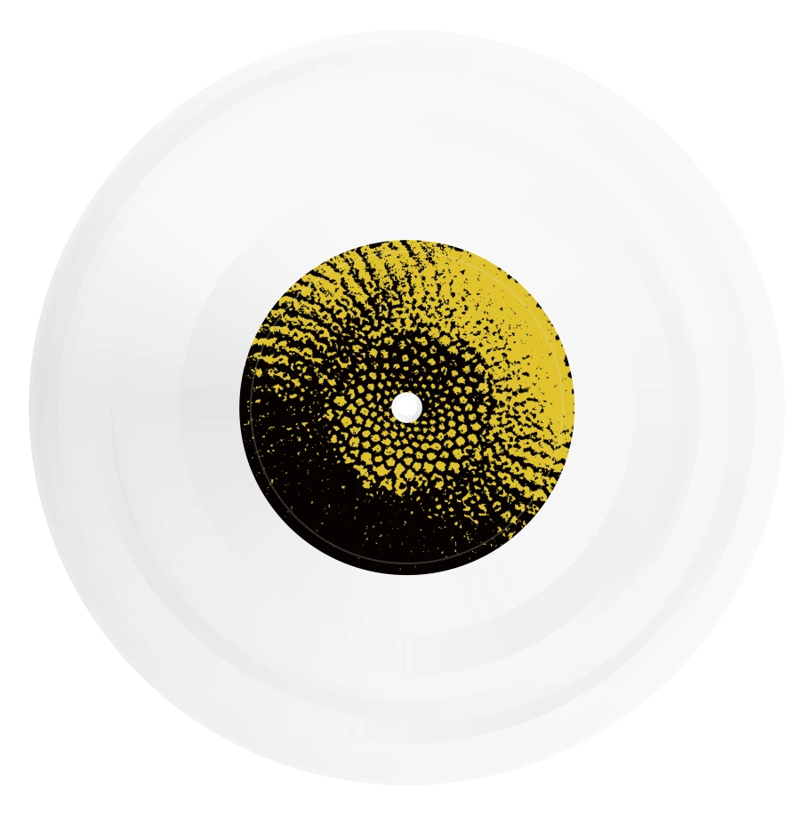 spinning image of a record