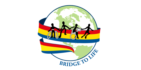 Bridge to Life Services: Summer Intensive Survey